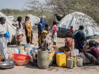 Crianças e mulheres grávidas e lactantes na Etiópia precisam de tratamento urgente contra a desnutrição, segundo o WFP.
