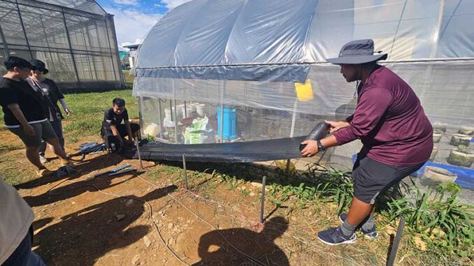 Técnicos agrícolas africanos durante treinamento prático em manejo de estufas na Universidade Nacional de Pingtung, Taiwan, julho de 2024.