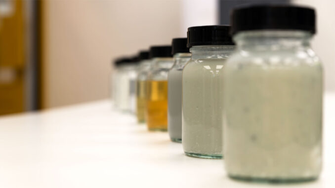 Amostras de policarbonato reciclado em diferentes estágios de processamento na planta de reciclagem da Trinseo.